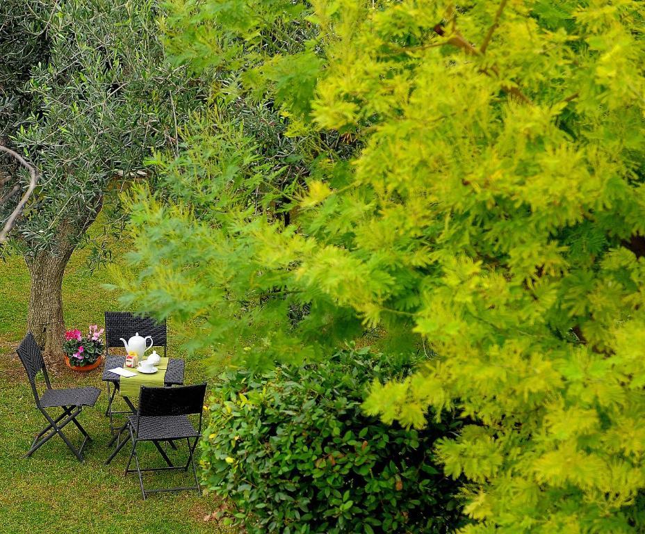 Hotel Il Giardino del Tè à Barletta Extérieur photo