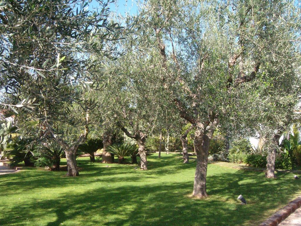 Hotel Il Giardino del Tè à Barletta Extérieur photo