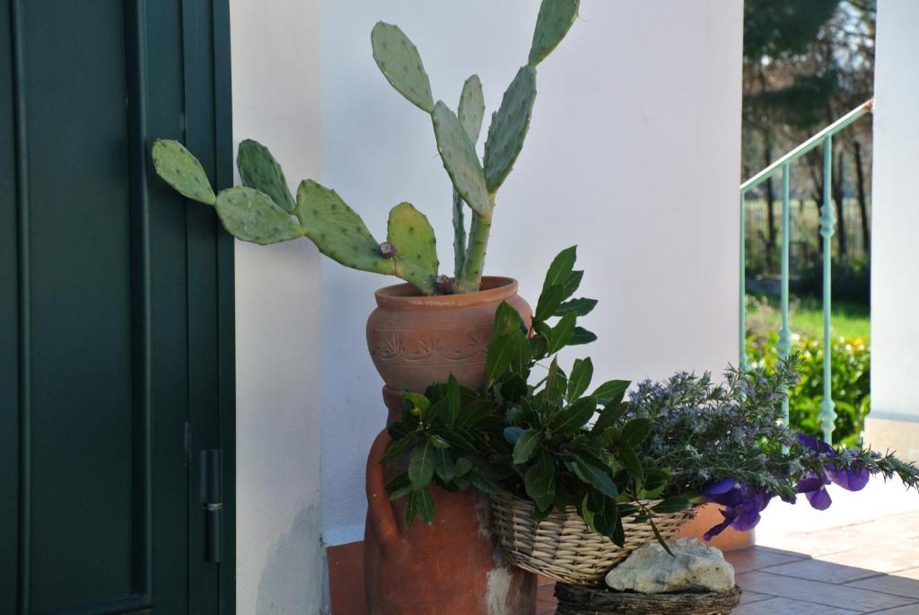 Hotel Il Giardino del Tè à Barletta Chambre photo