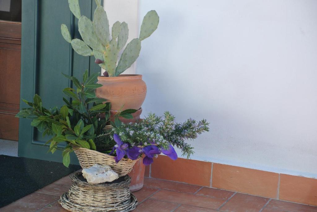 Hotel Il Giardino del Tè à Barletta Extérieur photo